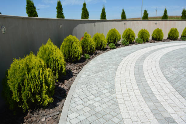 Best Commercial Driveway Pavers  in Minnetrista, MN